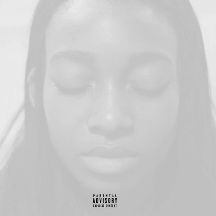 Little Simz Blank Canvas Artwork